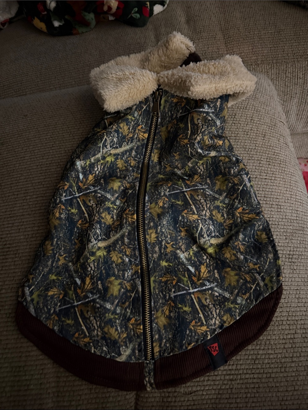 -Lined Camo Dog Coat in Brown & Green